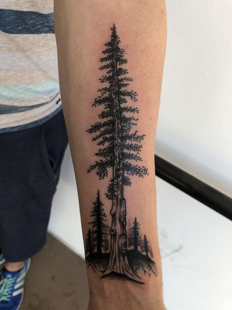 Redwood Tree Tattoo, Tree Tattoo Black, Redwood Tattoo, Ankle Tattoo Men, 27 Tattoo, Tree Tattoo Arm, Tree Tattoo Men, Tato Tradisional, Pine Tree Tattoo