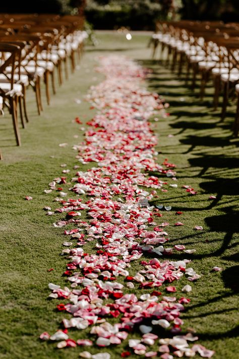 Ceremony Aisle Flower Petals, Petals Down Aisle Wedding, Rose Petals Aisle Wedding, Colorful Petals Wedding Aisle, Red Rose Petals Wedding Aisle, Wedding Aisle Flower Petals, Flower Petals Down Aisle, Outdoor Aisle Decorations, Rose Petals Down Aisle