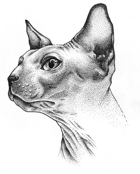 Pointalism Art, Stippling Tattoo, Stippling Drawing, Dotted Drawings, Stippling Art, Sphinx Cat, Desain Editorial, Tattoo Style Drawings, Desenho Tattoo