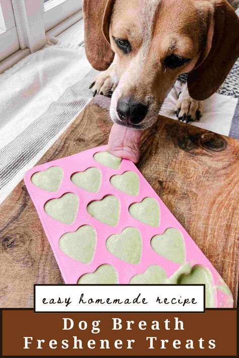 These homemade dog breath freshener treats are a great way to get rid of your dog’s bad breath naturally! This recipe has all healthy ingredients targeted towards having better breath for your dog. Natural Dog Breath Freshener, Dog Breath Mints, Dog Breath Remedy, Dog Breath Treats, Homemade Dog Toothpaste, Stinky Dog Breath, Bad Dog Breath, Breath Freshener, Stinky Dog