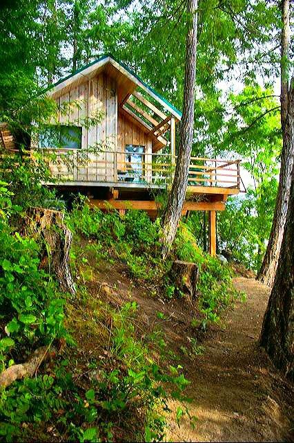 Cabin In Hillside, Cabin On Steep Slope, Cabin On Hillside, 16x20 Cabin, Hillside Cabin, Cabin On Stilts, Country Living Decor, Garage Guest House, Tropical House Design