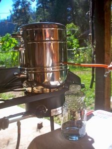 Apple Cider Ingredients, Steam Juicer, Homemade Cider, Fruit Juice Recipes, Home Canning Recipes, Apple Cider Recipe, Spiced Apple Cider, Cider Recipe, Juicer Recipes