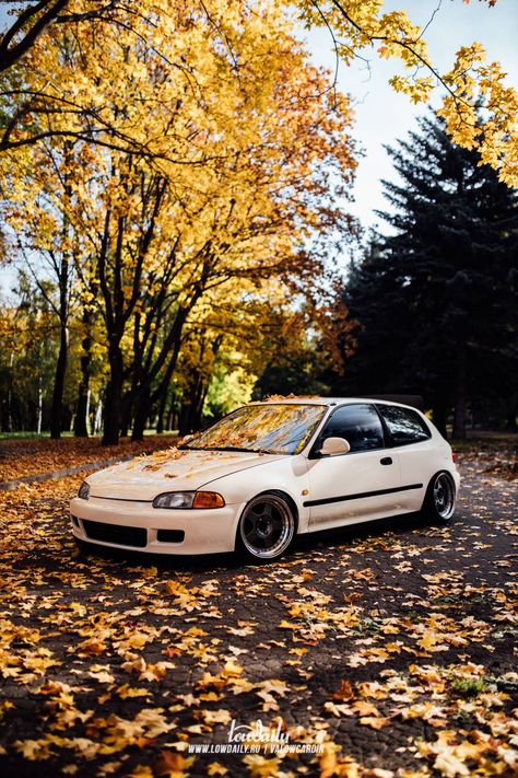 Honda Civic Hatchback Wallpapers, Eg Hatchback Wallpaper, Eg6 Wallpaper, Honda Civic Eg Hatchback Wallpaper, Civic Eg Wallpaper, Honda Civic Aesthetic, Honda Civic Wallpaper, Eg6 Civic, Eg Hatchback