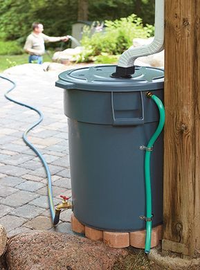 Diy Rain Barrel, Shed Inspiration, Barrels Diy, Moderne Have, Water Collection, Rain Barrel, Rain Water Collection, Garden Yard Ideas, Backyard Projects