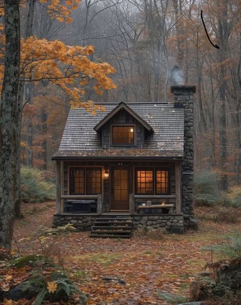 Hidden Cabin In The Woods, Vintage Cabin Aesthetic, Old Cabin Interior, Rustic Tiny Home, Cottage Core Cabin, Cabin Update, Tiny House In The Woods, Small Cabin In The Woods, Small House In The Woods