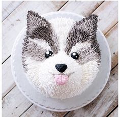 Husky cake Husky Cake Design, Husky Dog Cake, Husky Party Ideas, Husky Cake Ideas, Wolf Cakes For Kids, Husky Birthday Cake, Dog Cake Design Ideas, Dog Cake Ideas, Husky Cake