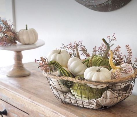 Fall Dec, Fall Thanksgiving Decor, Fall Deco, Home Decor Baskets, Velvet Pumpkins, Metal Baskets, Farmhouse Fall Decor, Fall Centerpiece, Farmhouse Fall