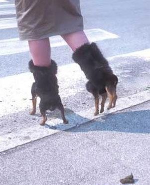 I think her "dog" boots just took a dump on the sidewalk. Do you think she carries poop bags? Funny Walmart Pictures, Weird Shoes, Walmart Pictures, Funny Shoes, Walmart Funny, Average Girl, Ugly Shoes, Girls Diary, Funky Shoes