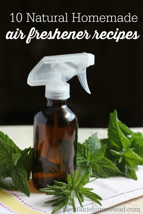 10 all-natural homemade air freshener recipes using essential oils. I'm not buying those nasty plugins anymore! Air Freshener Recipes, Homemade Air Freshener, Diy Air Freshener, Natural Air Freshener, Diy Essentials, Homemade Cleaning Products, Cleaning Recipes, Diy Essential Oils, Cleaners Homemade