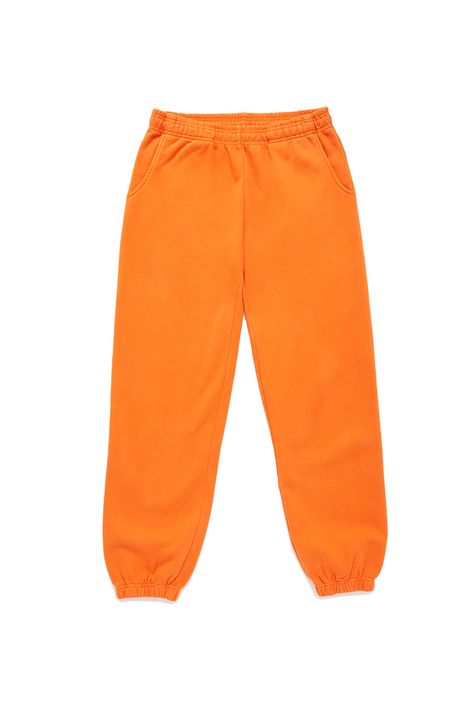 Orange Sweatpants Outfit, Dream Tiger, Colored Sweatpants, Lorax Costume, Orange Sweatpants, Orange Joggers, Winter Club, Collage Pics, Rose Hoodie