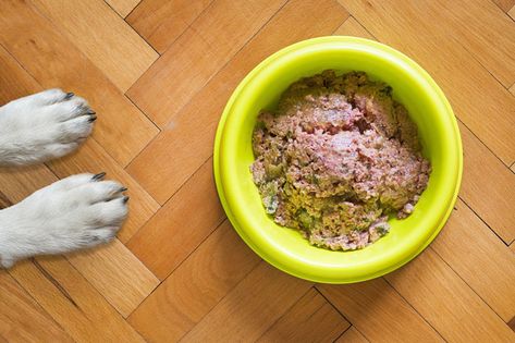 Dog Food Recipes Crockpot, Homemade Cat Food, Canned Dog Food, Wet Dog, Homemade Cat, Dog Nutrition, Dog Diet, Best Dog Food, Wet Dog Food