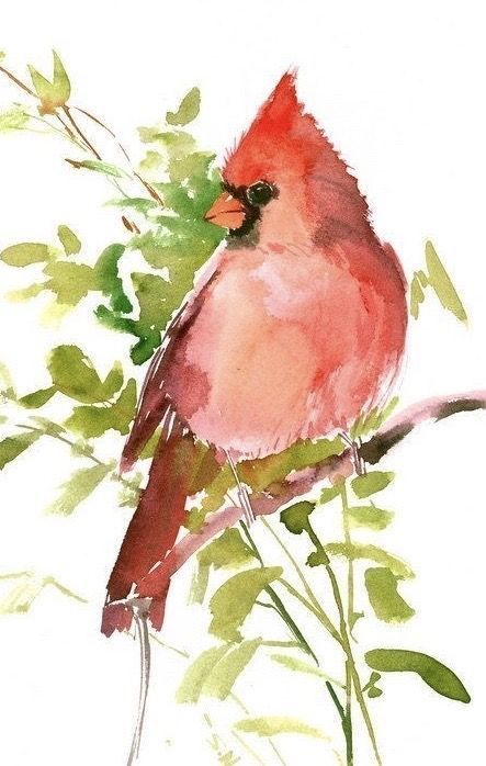 Watercolor Birds Tutorial, Bird Watercolor Art, Watercolor Paintings Of Animals, Learn Watercolor Painting, Bird Watercolor Paintings, Watercolor Paintings For Beginners, Watercolor Pictures, Diy Watercolor Painting, Watercolor Paintings Easy