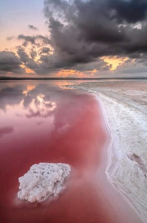 Pink Salt Lake, Senegal Clouds In The Sky, Pink Lake, Pretty Places, Asheville, Wonderful World, Amazing Places, Amazing Nature, Land Scape, Natural Wonders