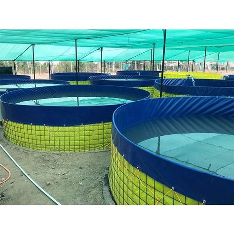 High quality outdoor fish farming special for floating round pond plastic fish farm plastic pond for fish https://m.alibaba.com/product/1600462619552/High-quality-outdoor-fish-farming-special.html?__sceneInfo={"cacheTime":"1800000","type":"appDetailShare"} Plastic Pond, Fish Farm, Plastic Fish, Fish Fish, Fish Farming, Fish Ponds, Fish Pond, Ponds, Fish Tank