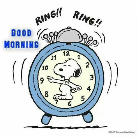 Good morning Snoopy Good Morning Image, Good Morning Snoopy, Hello Kitty Imagenes, Snoopy Cartoon, Peanuts Cartoon, Peanuts Snoopy Woodstock, Slaap Lekker, Snoopy Wallpaper, Snoopy Quotes