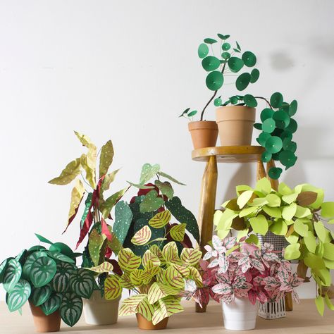 Paper Plants Diy, Plants House, Plants Diy, Diy Flores, Fleurs Diy, Cactus Diy, Paper Plants, Astuces Diy, Paper Leaves