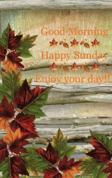 Coffee In The Fall, Happy Sunday Images Beautiful, Sunday Morning Quotes Inspirational, Morning Quotes Inspirational, Fall Greetings, Happy Sunday Images, Coffee Sayings, Sunday Morning Quotes, Sunday Greetings