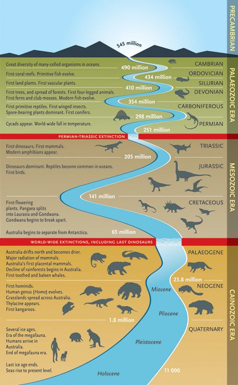 Wall Chart | Complex Life on Earth Timeline starting from 540 Million Years ago till the Modern Era Prehistoric Timeline, Creative Timeline, Timeline Example, Geologic Time Scale, Dinosaur History, History Of Earth, Prehistoric Animals, Teaching Science, Earth Science