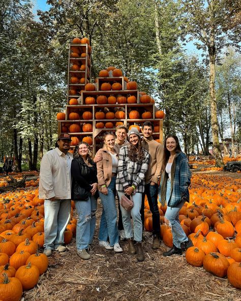 Pumpkin Patch Diaries🍂🎃 #PumpkinPatch #MaanFarms #Fallaesthetic #fallvibes🍁 #Autumnmood #October Group Pics, A Pumpkin, Fall Vibes, Pumpkin Patch