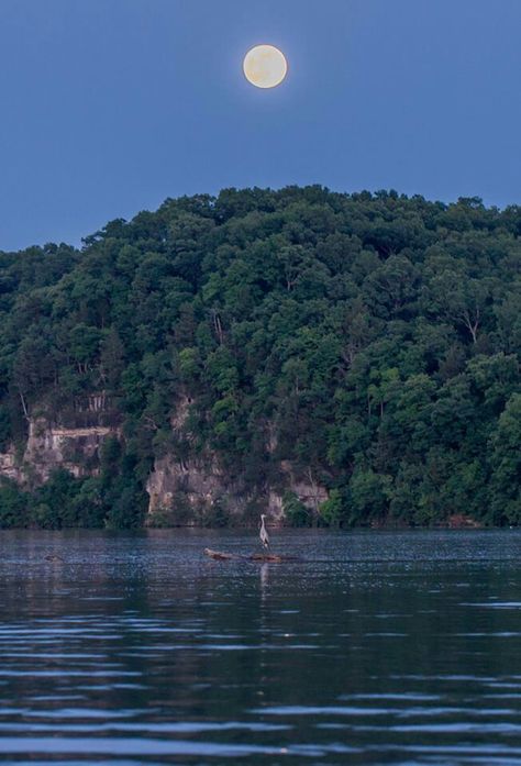 Moon over Lake of the Ozarks Alton Illinois, Ozarks Missouri, Lake Of The Ozarks, Moon Setting, Best Vacation Spots, Ozark Mountains, The Ozarks, Gods Creation, Best Vacations