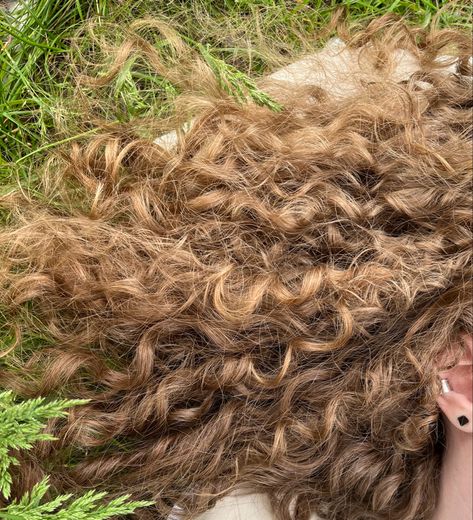 Curly Light Brown Hair, Crazy Curly Hair, Sandy Blonde Hair, Hair In The Wind, Brown Curly Hair, Blonde Curly Hair, Sandy Blonde, Hair Aesthetic, Long Red Hair