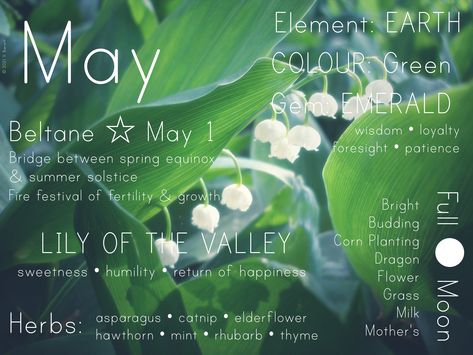 Magickal attributes & correspondences for May May Witchcraft, May Correspondences, January Correspondence, Monthly Correspondences, Wicca Holidays, Magickal Correspondences, 2023 Journal, Witchy Planner, Full Moon In Sagittarius