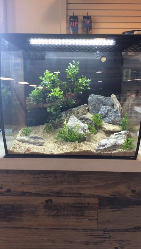 Aquarium tank dry scape/ hard scape fluval flex 15 gallon all-in-one Fluval Flex 15 Aquascape, 6 Gallon Cube Aquascape, 15 Gallon Aquascape, Fluval Flex 9 Gallon, Fluval Flex Aquascaping, 15 Gallon Fish Tank Ideas, Fluval Flex 15, Fish Tank Decoration Ideas, Tank Decoration Ideas