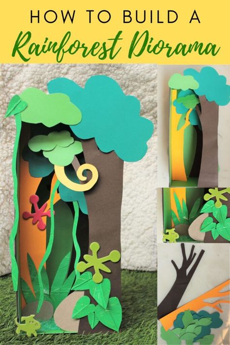 how to build a rainforest diorama Habitat Diorama Ideas For Kids, Rainforest Diorama, Habitat Diorama, Rainforest Crafts, Rainforest Activities, Rainforest Biome, Diorama Kids, Rainforest Habitat, Diorama Ideas