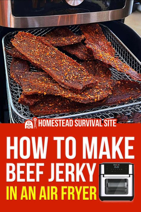 Venison Jerky In Air Fryer, Air Fried Beef Jerky, Homemade Beef Jerky Air Fryer, Air Fryer Beef Jerkey, Tri Tip Beef Jerky, Beef Jerky Recipe In Air Fryer, Diy Beef Jerky In Oven, Air Fry Beef Jerky, Dehydrate Meat In Air Fryer