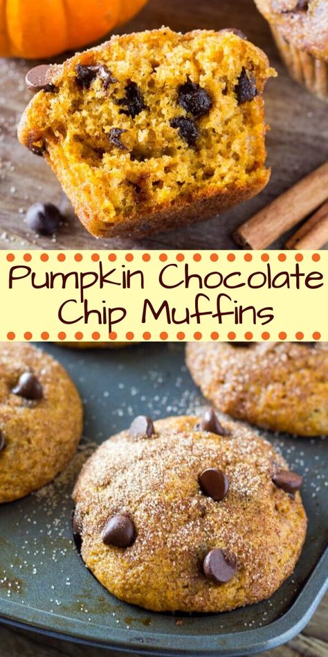 Filled with cinnamon, nutmeg, vanilla, a healthy dose of pumpkin and chocolate chips - these super moist Pumpkin Chocolate Chip Muffins are a must for your fall baking! #pumpkin #muffins #chocolatechip #fall #thanksgiving #breakfast #easy #recipes #pumpkinchocolatechip Assorted Muffins, Yummy Muffins, Pumpkin And Chocolate, Muffins Pumpkin, Baking Pumpkin, Fall Muffins, Picnic Fruit, Cake Pumpkin, Dessert Summer