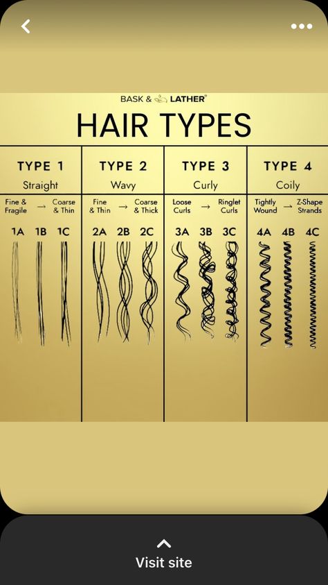 Hair Guide, Type 4, Type 1, Type 3, Hair Cuts, Hair