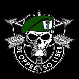 Green Berets. De Oppresso Liber (To Free The Oppressed) The Price Of Freedom, Special Forces Logo, Army Green Beret, Special Forces Army, Football Activity, Cheerleading Competition, Brands Logo, British Armed Forces, Army Rangers