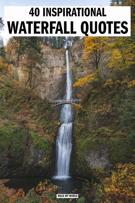 40 beautiful waterfalls quotes for anyone who can’t get enough of chasing waterfalls! Whether you’re looking for inspiration, something to sum up that feeling they give you, or your next Instagram caption, we’ve got you covered. #Waterfalls #WaterfallQuotes Water Falls Quotes, Waterfall Quotes, Chasing Waterfalls, Best Travel Quotes, Couple Travel, Travel Books, Travel Quotes Inspirational, Quotes To Inspire, Sum Up