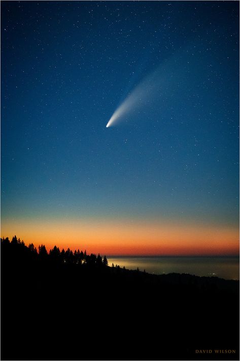 Comets And Asteroids, Humboldt County California, Ice Rock, The Comet, Photography Student, Humboldt County, Star Photography, Space Photography, Nikon Camera