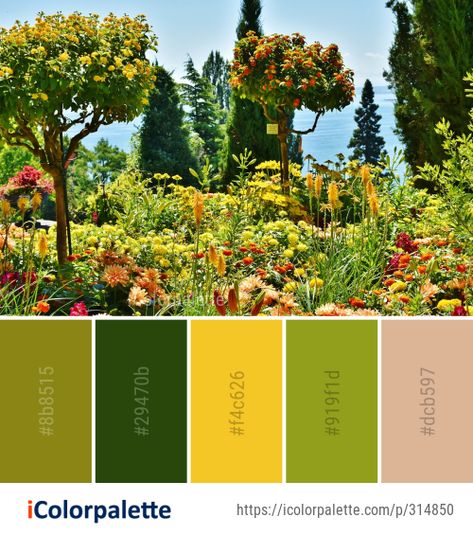 Color Palette Ideas from Vegetation Flora Botanical Garden Image Botanical Colour Palette, Foliage Color Palette, Garden Color Pallete, Garden Colour Palette, Garden Theme Color Palette, Garden Palette Colour, Botanical Color Palette, Plant Palette Landscape Architecture, House Palettes