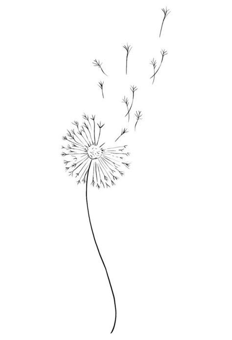 Drawing Of A Dandelion, Fineline Dandelion Tattoo, Dandelion Drawing Tattoo, Wishie Tattoo, Mini Dandelion Tattoo, Blowing Dandelion Tattoo Simple, Dandelion Art Drawing, Dandelion Drawings, Dandelion Sketch