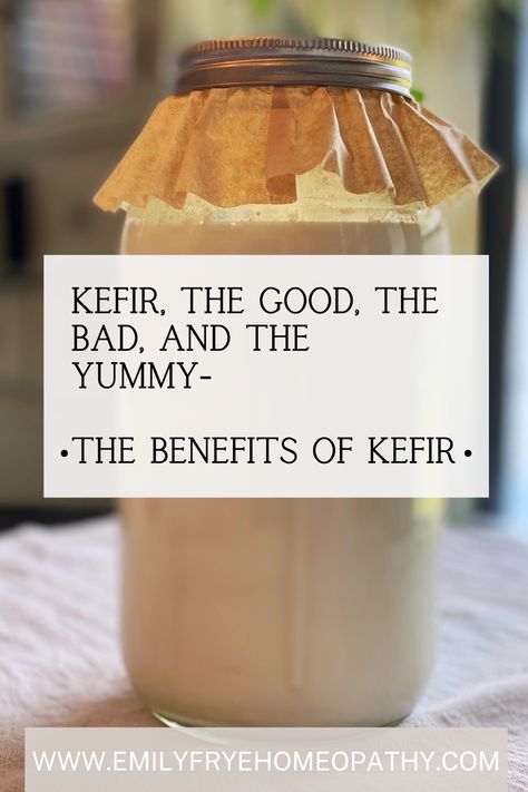 One thing I recommend to just about every client and frankly, everyone I meet, is kefir. It is the number one thing you can add to your life to improve almost everything inside your body. The benefits of kefir are through the roof! So while this article isn’t about homeopathy, it will give you enough information to change your health for the better. Kefir Health Benefits, Benefits Of Keifer, Water Kefir Benefits, Milk Kefir Benefits, Benefits Of Kefir, Goat Kefir, Kefir Milk, Kefir Water, Homestead Food