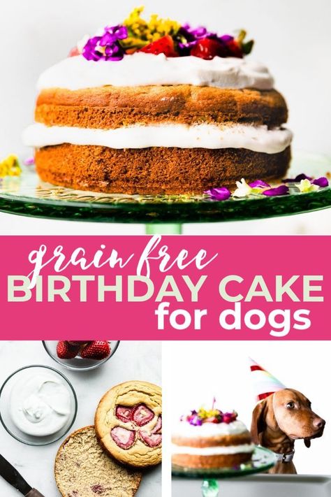 Dog Birthday Cake Grain Free, Dog Birthday Cake Humans Can Eat, Cake For Dogs And Humans, Grain Free Dog Cake, Grain Free Dog Cake Recipe, Dog Cake Recipe Grain Free, Homemade Dog Food Grain Free, Birthday Cake For Dogs, Dog Safe Cake Recipe