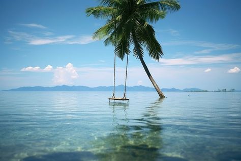 Swing hanging from palm tree summer outdoors sailboat. | premium image by rawpixel.com Tree Scenery, Palm Tree Plant, Discord Channels, Plant Aesthetic, Creative Studio, Palm Tree, Palm Trees, Plants