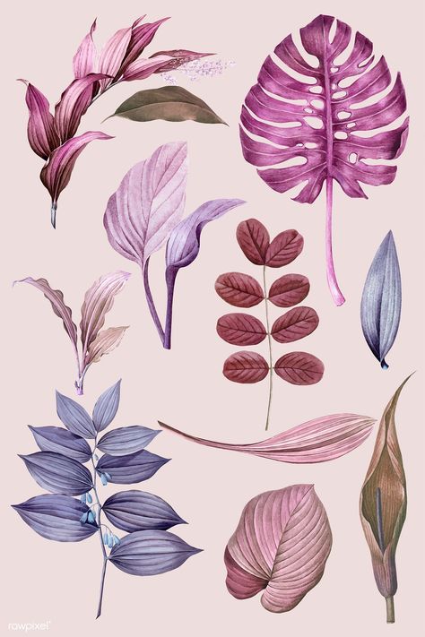 Tropical Clipart, Purple Leaves, Leaf Frame, Flower Illustrations, Background Design Vector, Colour Pencil, Forest Illustration, Image Ideas, Plant Painting