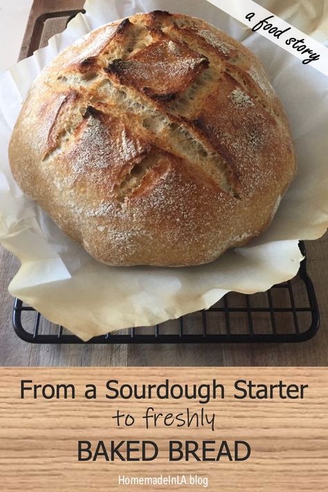 Want to create your own starter? Want to bake delcious sourdough from scratch? If so, visit my blog for an in depth look at my sourdough journey from a tiny starter to fresh baked bread! #homemadeinla #sourdough #sourdoughbread #sourdoughstarter #freshbakedbread #foodstories #sourdoughrecipes #breadrecipes #baking #sourdoughdiscard #excesssourdoughdiscard Sourdough Loaf Bread, Same Day Sourdough Bread, Bread Recipe For Beginners, Same Day Sourdough, Beginners Bread Recipe, Easy Sourdough Bread Recipe, Recipe Using Sourdough Starter, Recipe For Beginners, Chewy Bread