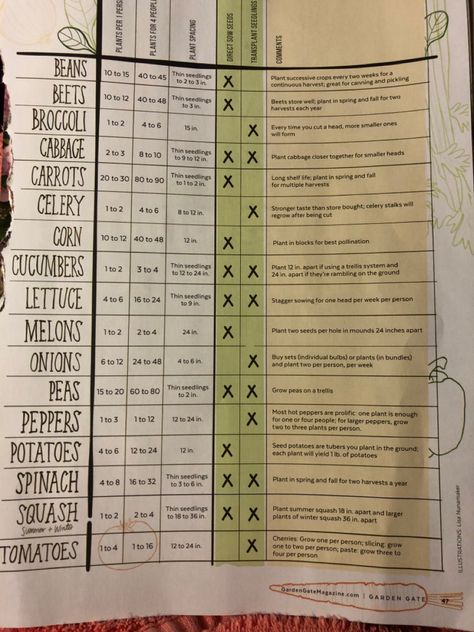 How Many Vegetables To Plant Per Person, How Many Plants Per Person, How Much To Plant Per Person, Plants Per Person, Vegetable Planting Guide, Vegetables To Plant, Vegetable Planting, Planting Guide, Bean Plant