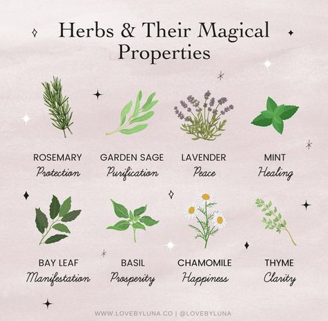 Rosemary Garden, Herbal Witch, Witch Herbs, Green Witchcraft, Plant Magic, Magic Herbs, Magical Herbs, Magick Book, Natural Healing Remedies