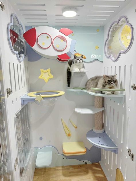 Cats Room, Cat Kennel, Cat Hotel, Pet Paradise, Pet Spa, Cat Playground, Foster Kittens, Cat Cafe, Dream House Rooms