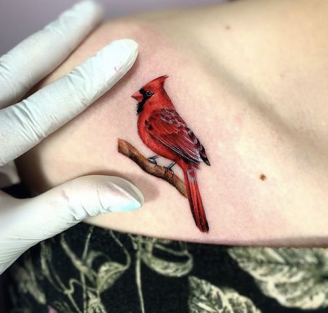 Cardinal Mandala Tattoo, Owl And Cardinal Tattoo, Realism Cardinal Tattoo, Tiny Red Bird Tattoo, Red Robin Bird Tattoo, Cardinal Shoulder Tattoo, Red Cardinal Tattoo Small Memorial, Red Bird Tattoos For Women, Cardinal Birds Tattoo