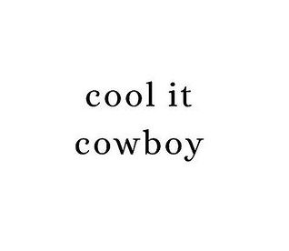 Punchy Western Sayings, Western Sayings Aesthetic, Punchy Captions For Instagram, Tyler Owens Aesthetic, Punchy Western Instagram Captions, Rodeo Captions Instagram, Western Captions Instagram, Punchy Quotes, Rodeo Sayings