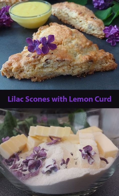 Easy Lemon Recipes, Lilac Recipes, Recipes With Lemon, Lavender Baking, Witchy Recipes, Lemon Breakfast, Flower Recipes, Homemade Lemon Curd, Homemade Recipe Books