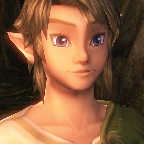 Tp Link Icon, Link Zelda Twilight Princess, Zelda Screenshots, Link Twilight Princess, Shigeru Miyamoto, Zelda Twilight Princess, Youre Crazy, Japanese Games, Link Zelda