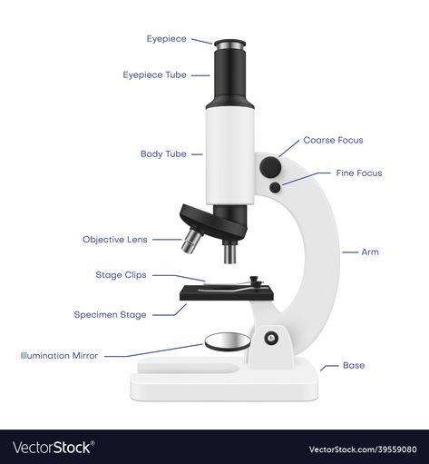 Electronic Lab, Dissecting Microscope, Presentation Poster, Microscope Pictures, Microscope Parts, Hand Lens, Infographic Presentation, Realistic Illustration, Electron Microscope