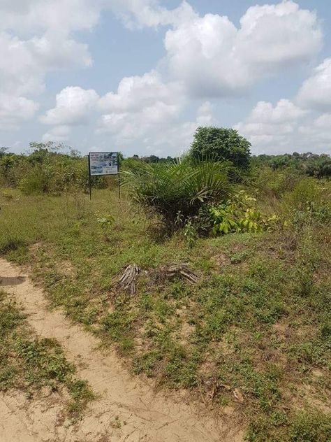 Plots of Land for sale @ Brit property Nigeria. Ltd.100% dry land. Very affordable  Our lands are at Ibeji lekki, Elerangbe community with a proximity to the cargo airport, Dangote refineries and other attractions. Plot Of Land For Sale, Land Property Real Estates, Owning Property, Land Purchase, Land Plot, David Draiman, Buying Land, Supreme Iphone Wallpaper, 2025 Goals